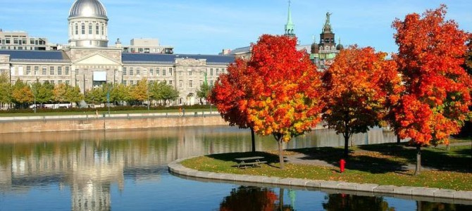 Quer trabalhar no Canadá? Veja as 14 carreiras mais quentes
